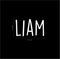 Vinyl Wall Art Decal Boys Custom Name - ’Liam’ Custom Text Name- 12" x 23" - Little Boys Bedroom Vinyl Wall Decals - Cute Wall Art Decals for Baby Boy Nursery Room Decor (12" x 23"; White Text) White 12" x 23" 3