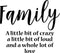 Vinyl Wall Art Decal - Family A Little Bit Of Crazy A Little Bit Of Loud And A Whole Lot Of Love - Household Decoration Living Room Indoor Outdoor Sticker Wall Decals for Home Decor