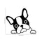 Vinyl Wall Art Decal - French Bulldog Face - 18" x 21" - Cute Trendy Doggy Decor For Luggage Laptop Skin Car Bumper Sticker - Dog Lovers Cool Bedroom Living Room Modern Mirror Decor (18" x 21"; Black) Black 18" x 21"