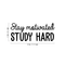 Vinyl Wall Art Decal - Stay Motivated Study Hard - Modern Positive Motivational Quote For Home Kids Room Office Workplace School Classroom Decoration Sticker