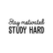 Vinyl Wall Art Decal - Stay Motivated Study Hard - Modern Positive Motivational Quote For Home Kids Room Office Workplace School Classroom Decoration Sticker   4