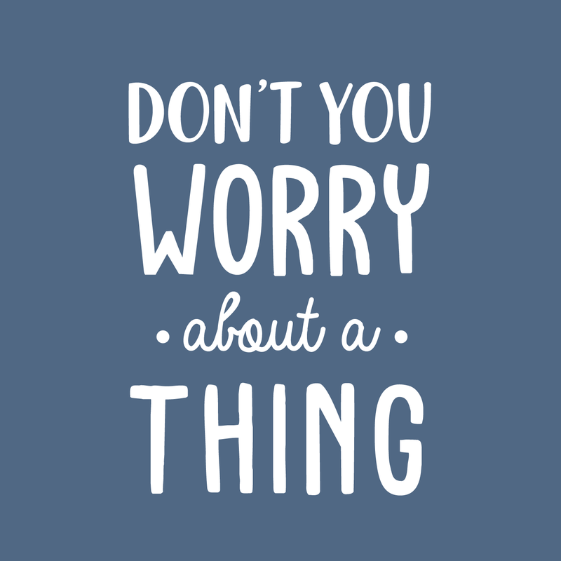 Vinyl Wall Art Decal - Don't You Worry About A Thing - 24" x 17" - Modern Inspirational Quote For Home Bedroom Living Room Closet Office Playroom Decoration Sticker White 24" x 17" 4