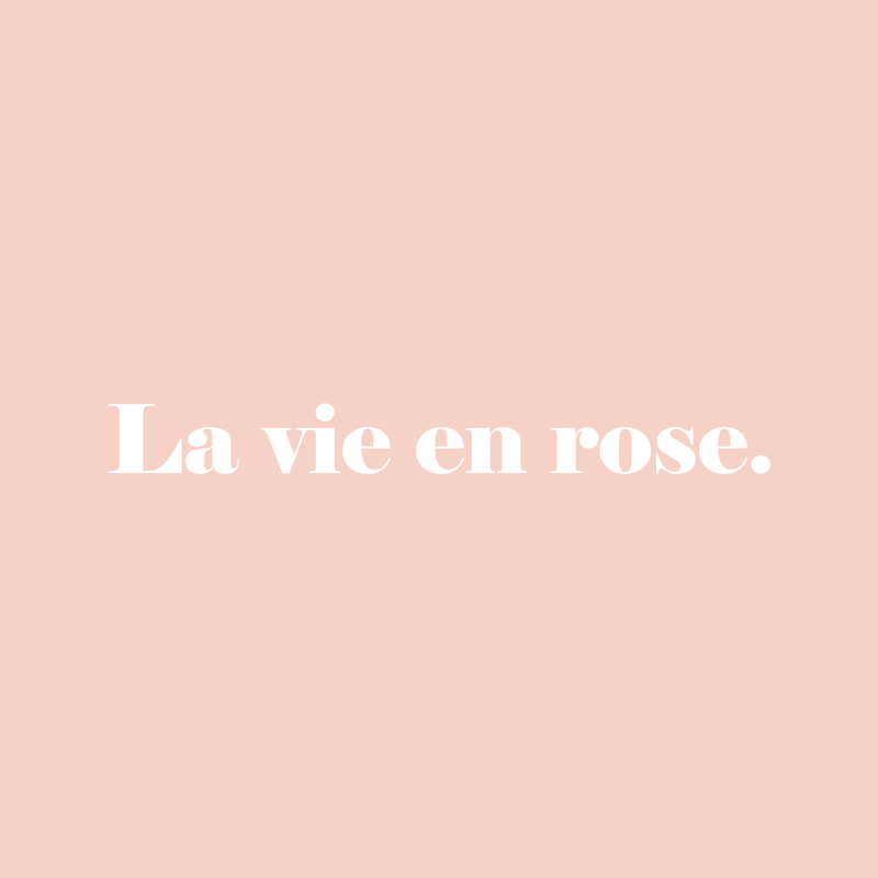 Vinyl Wall Art Decal - La Vie En Rose - 2" x 20" - Trendy Inspirational French Song Quote For Women Home Bedroom Girls Room Living Room Office Decoration Sticker White 2" x 20" 5