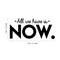 Vinyl Wall Art Decal - All We Have Is Now - 3" x 25" - Modern Motivational Energetic Quote For Home Bedroom Closet Living Room Office Business Decoration Sticker Black 14" x 30" 3