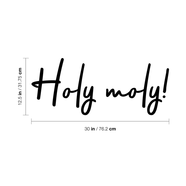 Vinyl Wall Art Decal - Holy Moly - 12. Modern Funny Surprise Slang Words Quote For Home Teens Room Living Room Bedroom Kitchen Closet Decoration Sticker