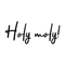 Vinyl Wall Art Decal - Holy Moly - 12. Modern Funny Surprise Slang Words Quote For Home Teens Room Living Room Bedroom Kitchen Closet Decoration Sticker   3