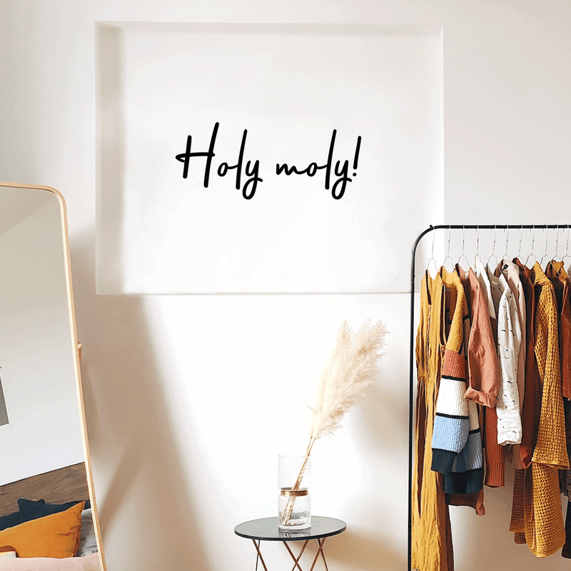 Vinyl Wall Art Decal - Holy Moly - 12. Modern Funny Surprise Slang Words Quote For Home Teens Room Living Room Bedroom Kitchen Closet Decoration Sticker   5