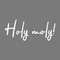 Vinyl Wall Art Decal - Holy Moly - 12.5" x 30" - Modern Funny Surprise Slang Words Quote For Home Teens Room Living Room Bedroom Kitchen Closet Decoration Sticker White 12.5" x 30"