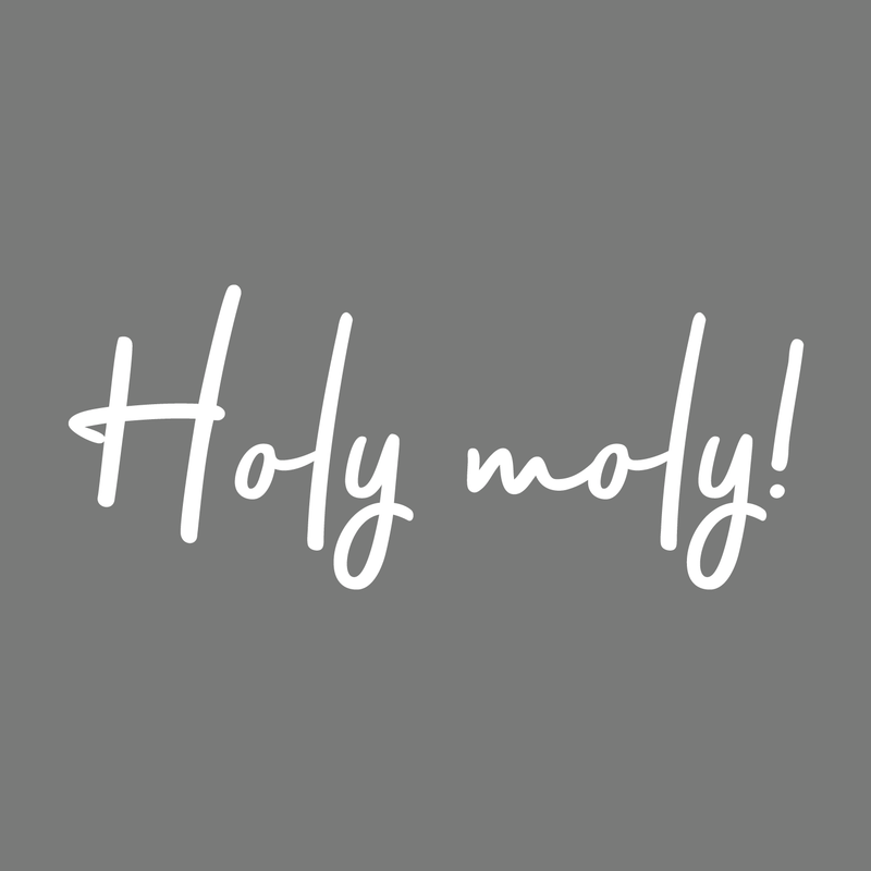 Vinyl Wall Art Decal - Holy Moly - 12.5" x 30" - Modern Funny Surprise Slang Words Quote For Home Teens Room Living Room Bedroom Kitchen Closet Decoration Sticker White 12.5" x 30"