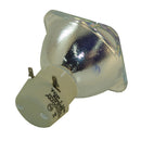 Optoma LTOBDW318PPH Philips FP Lamps Bare