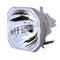 Epson LTOBEBC450WHPPH Philips FP Lamps Bare
