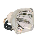 Mitsubishi LTOBVLTHC5000LPPUSH Ushio FP Lamps Bare