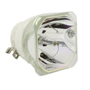 NEC LTOBNP17LPPUSH Ushio FP Lamps Bare