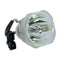 Mitsubishi LTOBVLTEX100LPPUSH Ushio FP Lamps Bare