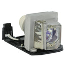 Optoma LTOHHD30BPPH Philips FP Lamps with Housing