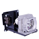 Mitsubishi LTOHVLTHC5000LPPUSH Ushio FP Lamps with Housing