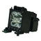 NEC LTOHMT70LPPUSH Ushio FP Lamps with Housing